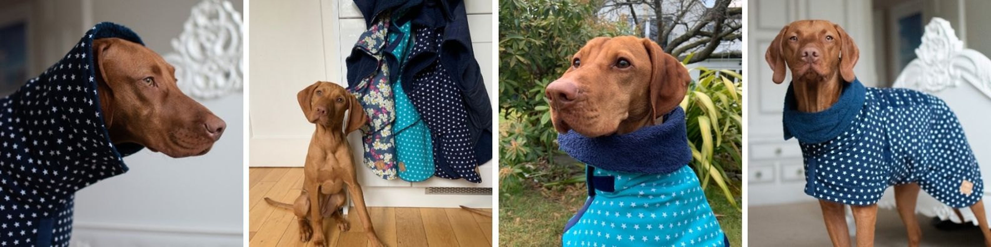 Beautifully crafted handmade dog coats by DashwoodDogCoats