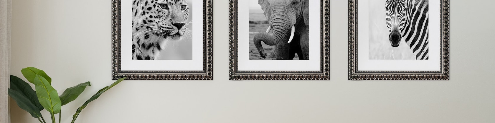 Shop Stylish Picture Frames for Every Space at Craig Frames - Your