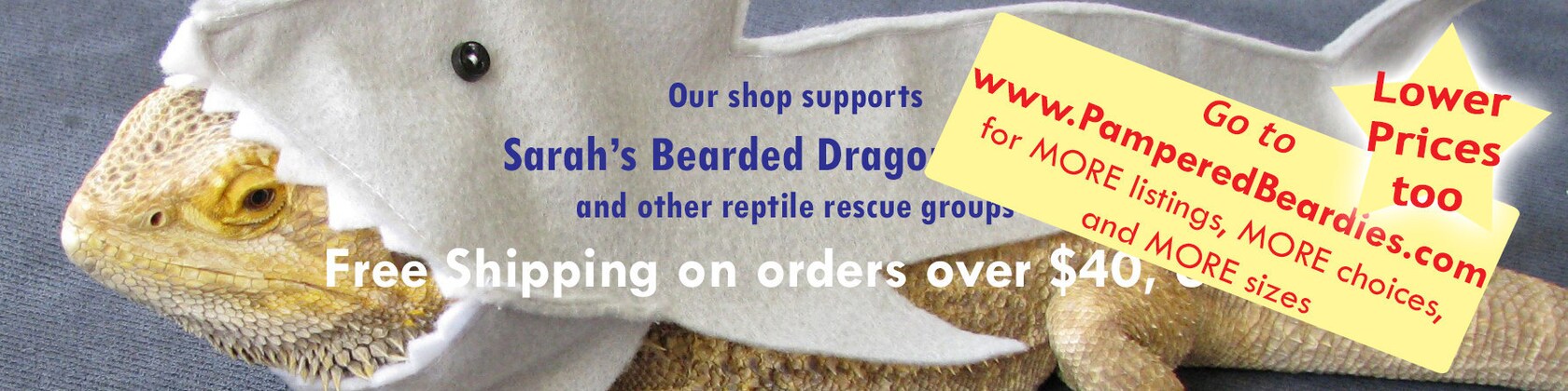Shop Bearded Dragons —