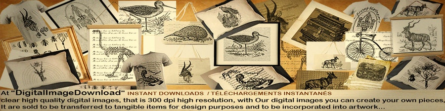 DigitalImageDownload | Etsy