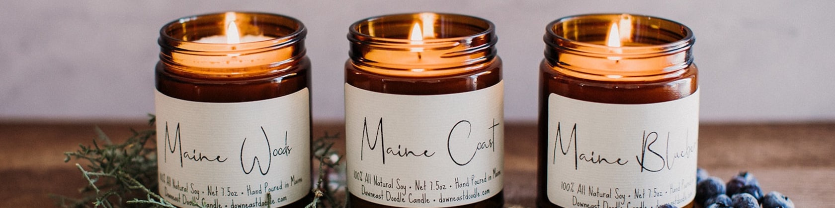 Maine Blueberry, Natural Hand Poured Soy Candle, Gift for Her, Fruit Candle,  Blueberry Candle, Maine Blueberry, Made in Maine, Holiday Gift 