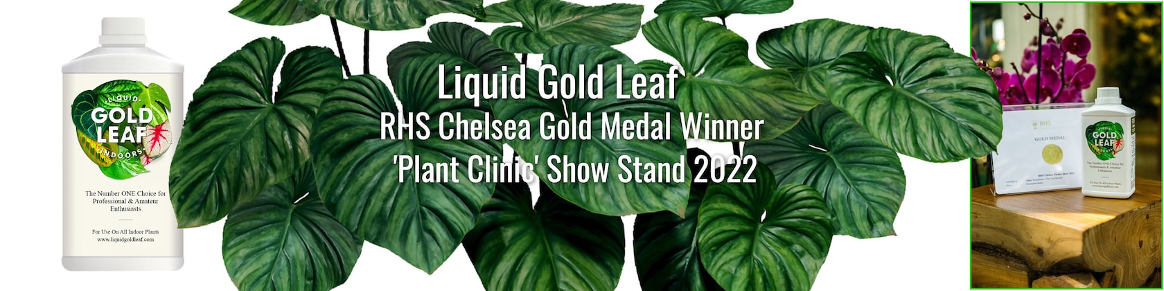 Liquid Gold Leaf Plant Feed 500ml