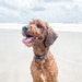 Kona