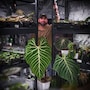 shop-member-photo