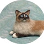shop-member-photo