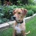 Trevor