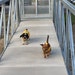 Cloghy and Riley