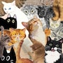 shop-member-photo