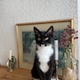 shop-member-photo