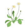 shop-member-photo