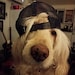 Maggie