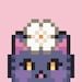 Pixlin