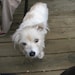 Gina Martin