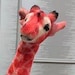 Hammond the Pink Giraffe