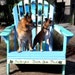 Blitz & Chance