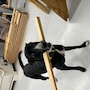 shop-member-photo
