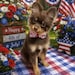 Grizz Lee Bear