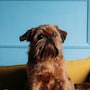 shop-member-photo
