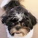 COOPER
