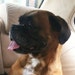 Myka