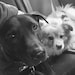 Wednesday and Winnie