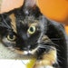 Mimmi
