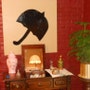shop-member-photo