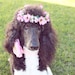 Myla