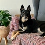 shop-member-photo