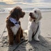 Tux & Winston