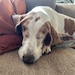 Maybelle