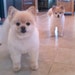Pinky / Mr Pink