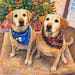 Willow and Sadie