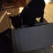 PantherTheCat