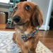Charlie