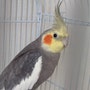 shop-member-photo