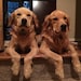 Bomber & Bentley