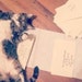 Stella