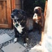 Richard and Teddy