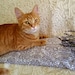 Walter