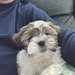 Toby