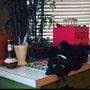 shop-member-photo