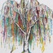 WeepingWillowDigital