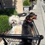 shop-member-photo