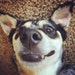 Buddy Boy