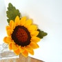 shop-member-photo