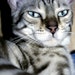 Spock
