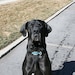 Jax