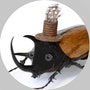 shop-member-photo
