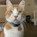 Milo